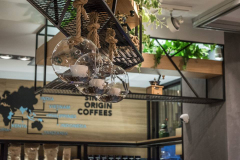 50069604_2221187517905478_8395167578997129216_n