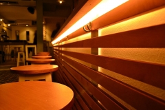 PLASTELINA-(6)
